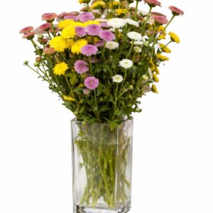 ChatGPT Image Mar 13, 2026, 02 36 15 PM