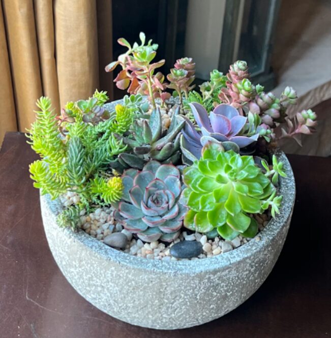 Screenshot 2026 03 13 135942